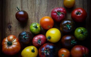 tomates mélangées BIO