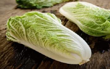 Organic chinese cabbage