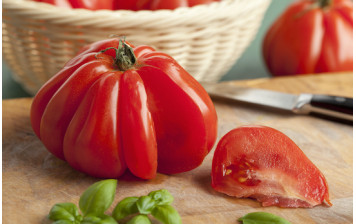 Tomates coeur de boeuf BIO