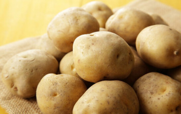 Pommes de terre Bintje