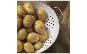 Pommes de terre BIO Suisse Charlotte